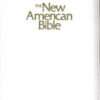 NAB Deluxe Gift And Award Bible Zipper Close White Imitation Leather W2405ZW
