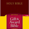 NLT Gift & Award Bible Burgundy Imitation Leather