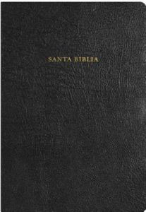 RVR 1960 Biblia de Estudio Arco Iris Piel Fab. Negra