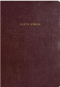 RVR 1960 Biblia de Estudio Arco Iris Piel Fab. Vino