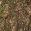 NIV Camouflage Waterproof Bible