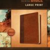 NLT Everymans Bible Large Print (10 pt) Brown/Tan Leather Look