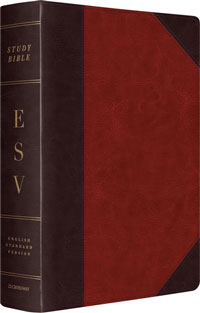 ESV Study Bible Large Print (10.75Pt) TruTone Brown Cordovan Design E54518