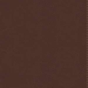 Rvr 1960 Spanish Rainbow Study Full Color Brown Leathertouch Rvr 1960 Spanish Rainbow Study Full Color Brown Leathertouch