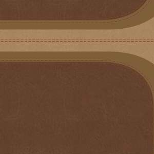 Rvr 1960 Spanish Rainbow Study Full Color Brown Tan Rvr 1960 Spanish Rainbow Study Full Color Brown Tan Leathertouch