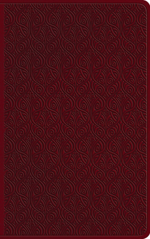 ESV Large Print (10 pt.) Value Thinline Bible Ruby Tan Vine Design