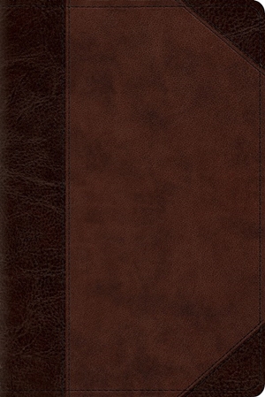 ESV Personal Reference Bible-Brown/Walnut Portfolio Design TruTone