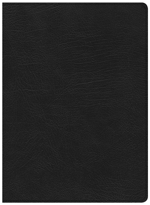 CSB Life Essentials Study Bible-Black Genuine Leather Indexed