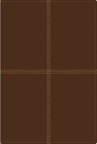 Span-RVR 1960/NIV*Bilingual Bible-Tan DuoTone