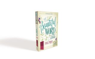 NIV Beautiful Word Bible (Full Color)/Large Print-Pink/Cranberry Leathersoft