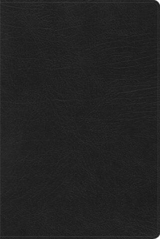 Span-RVR 1960 Rainbow Study Bible (Biblia de Estudio Acro Iris)-Black Imitation Leather Indexed