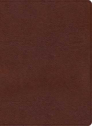 CSB Verse-By-Verse Pastor's Bible-Brown Bonded Leather